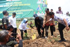 Dukung Ketahanan Pangan, 1.000 Ha Lahan Hutan Sosial Ditargetkan Masuk Program Agroforesty