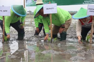 Dengan Metode SRI, Blora Siap Jadi Kabupaten Organik