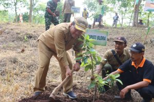 Sulap Hutan Jadi Kebun Buah, Ratusan Alpukat dan Mangga Hijaukan Goa Terawang
