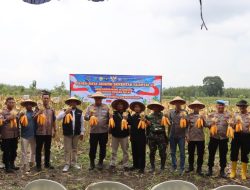 Polres Blora Ikuti Panen Raya Jagung Serentak Kuartal II dan Launching SPPG Polri Secara Virtual