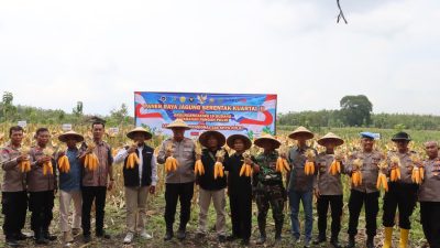 Polres Blora Ikuti Panen Raya Jagung Serentak Kuartal II dan Launching SPPG Polri Secara Virtual