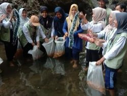Pemberdayaan Potensi Desa TP PKK dan UIN Sunan Kudus Tebar Benih1.500 Nila di Sungai kaligelis Turut Desa Jurang