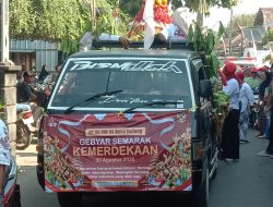 Desa Sadang Meriah HUT RI 81 Karnaval Gunungan, kirab Jalan kaki Hingga Sound Musik Dance